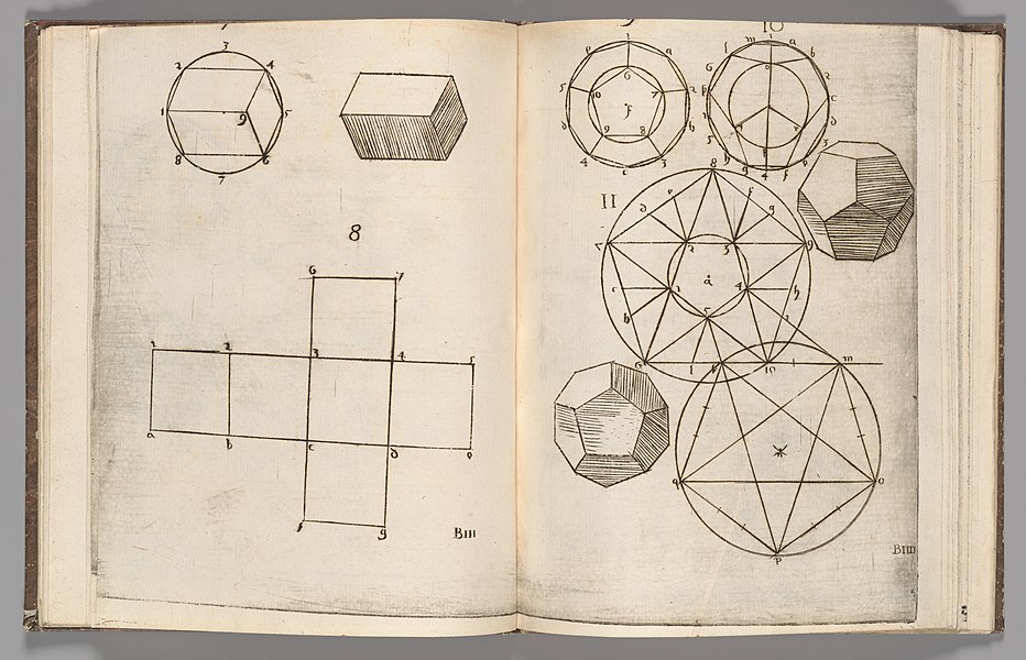 The Man Who Brought Geometry to the World